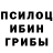 Псилоцибиновые грибы мухоморы shadysheep
