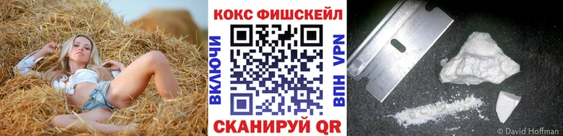 COCAIN Fish Scale  Стародуб 