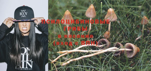 бошки Алексеевка