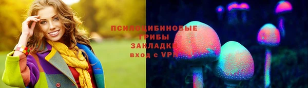 бошки Алексеевка