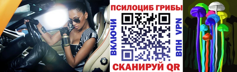 продажа наркотиков  Стародуб  Псилоцибиновые грибы Psilocybe 