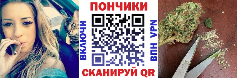 Шишки марихуана планчик Стародуб